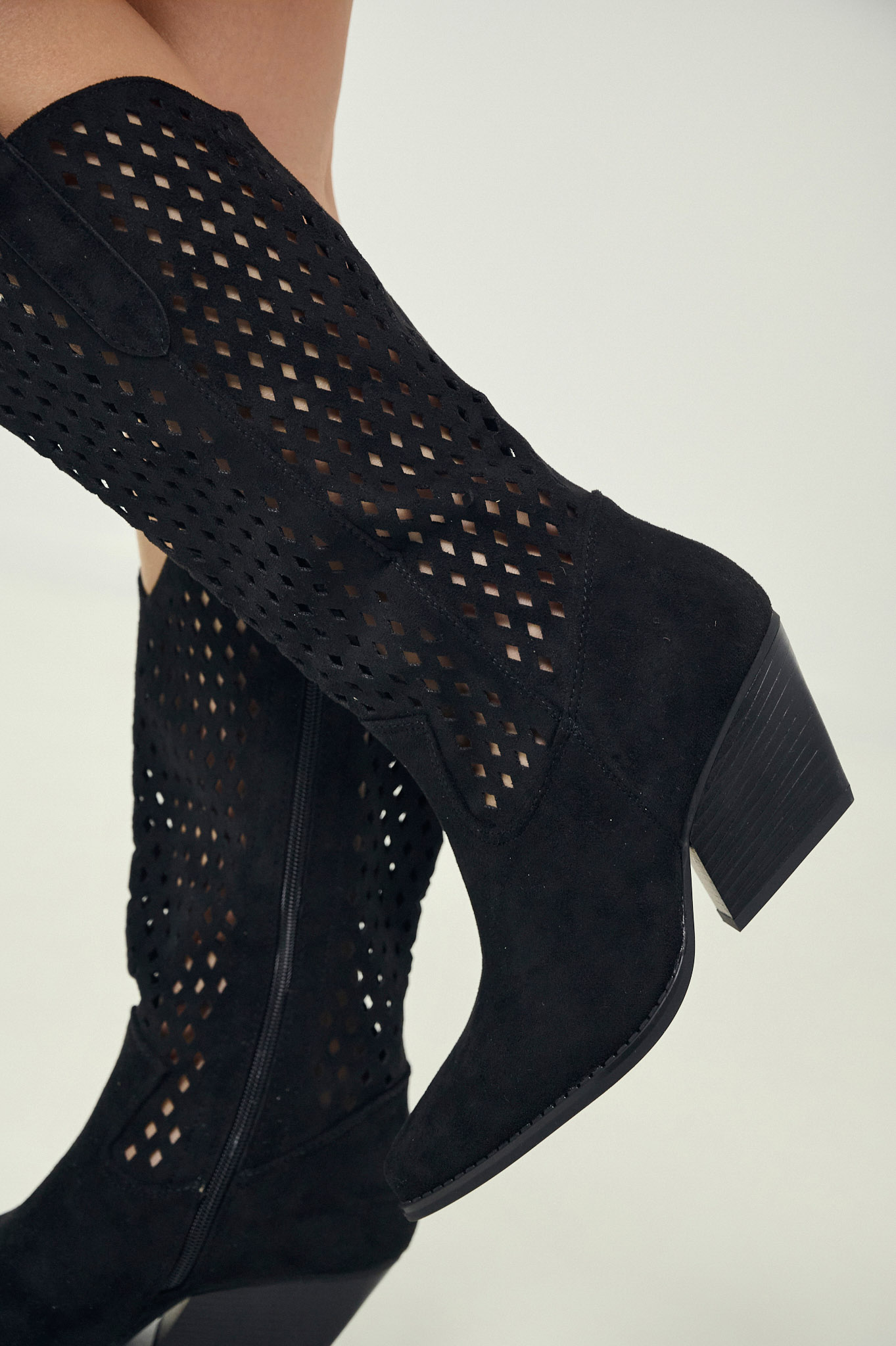 CY-GMO153-24125-MAYR