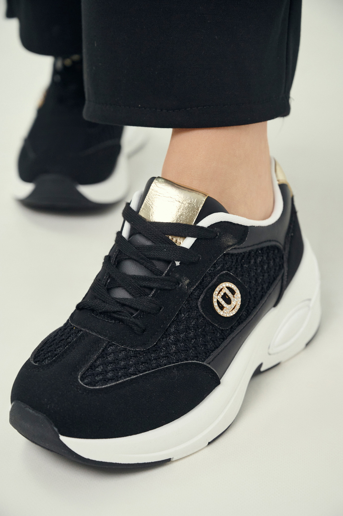 CY-GMO153-LY900-MAYR