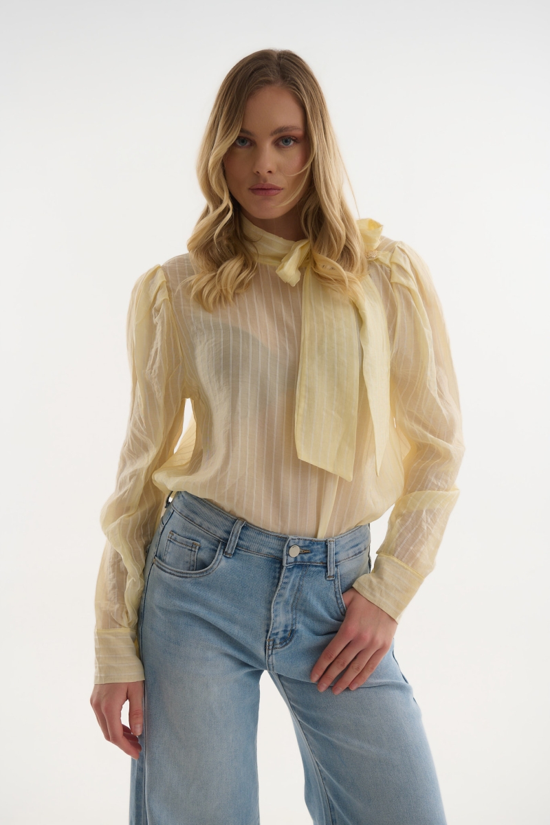 Πουκαμίσα με Φιόγκο & Διακριτική Ρίγα