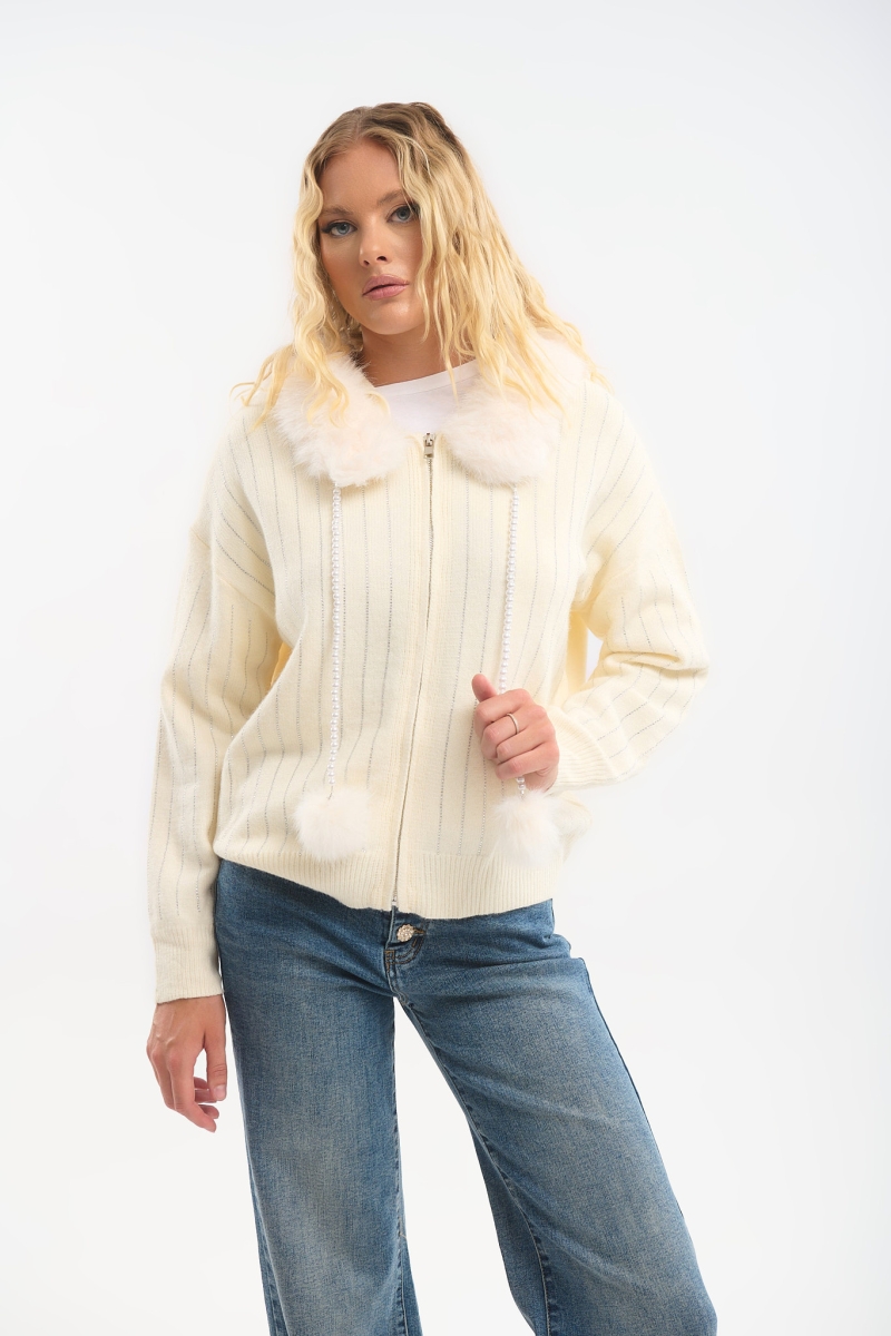 Hoodied Jacket
