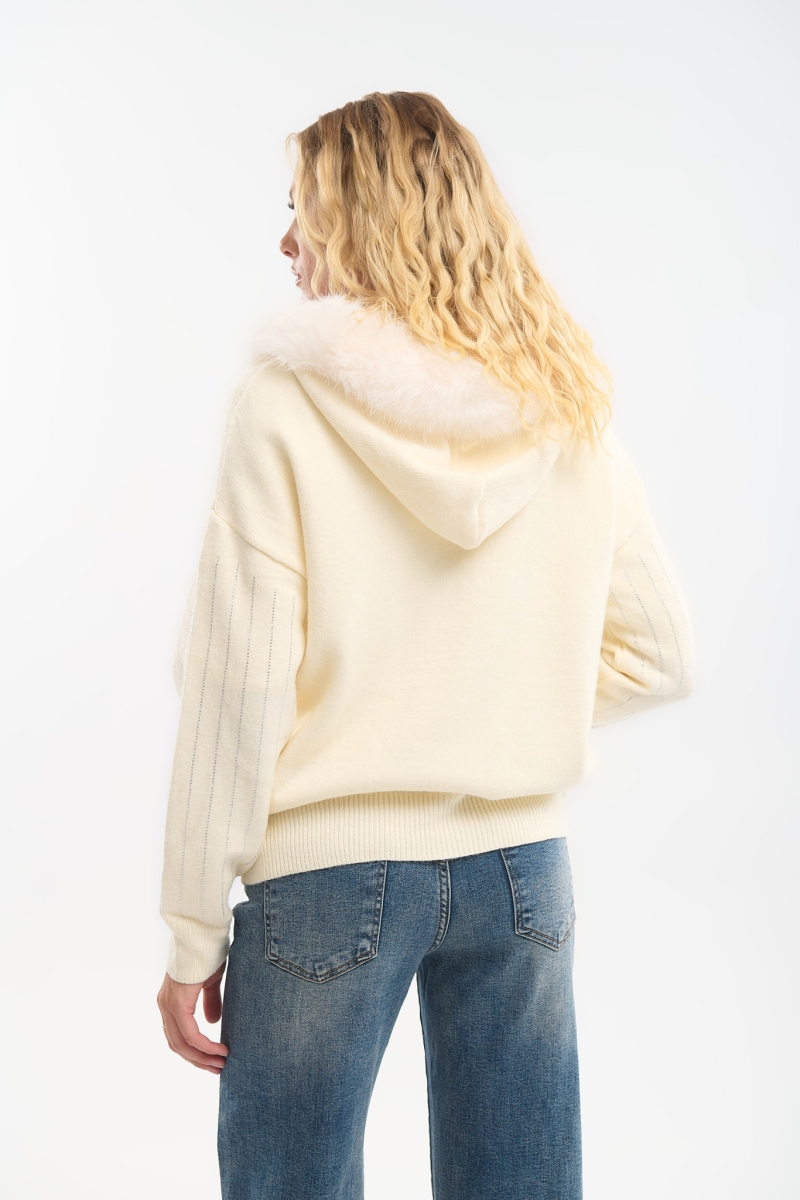 Hoodied Jacket