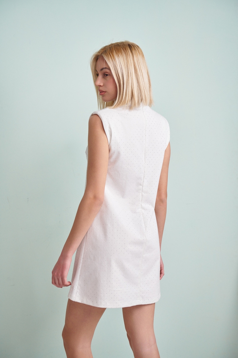 Kelly's Rhinestoned Sleeveless Mini Dress